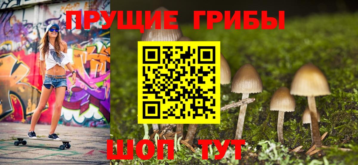 Псилоцибиновые грибы MAGIC MUSHROOMS Азов