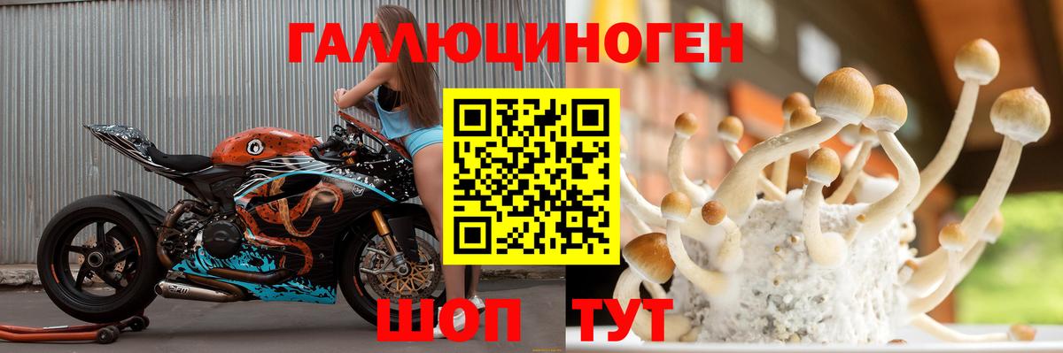 Псилоцибиновые грибы Psilocybe Азов